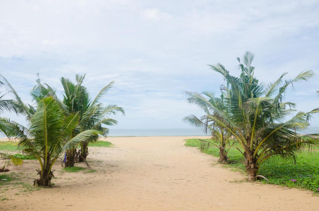 Zendara Hotel Negombo Zewnętrze zdjęcie